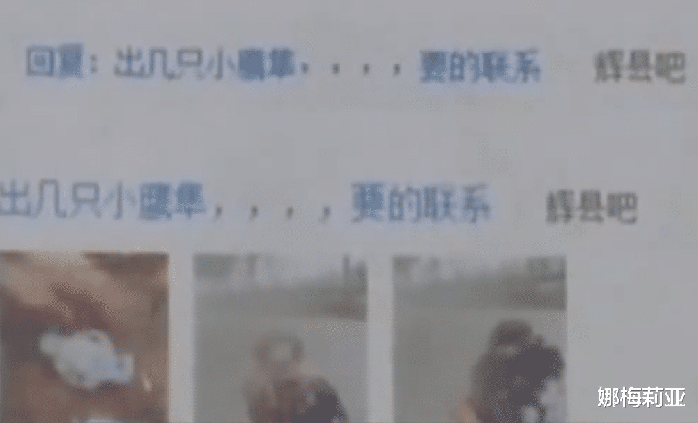 案例回顾：2014年，一大学生贪玩掏鸟窝，将鸟贩卖获利1200元，最终被判10年