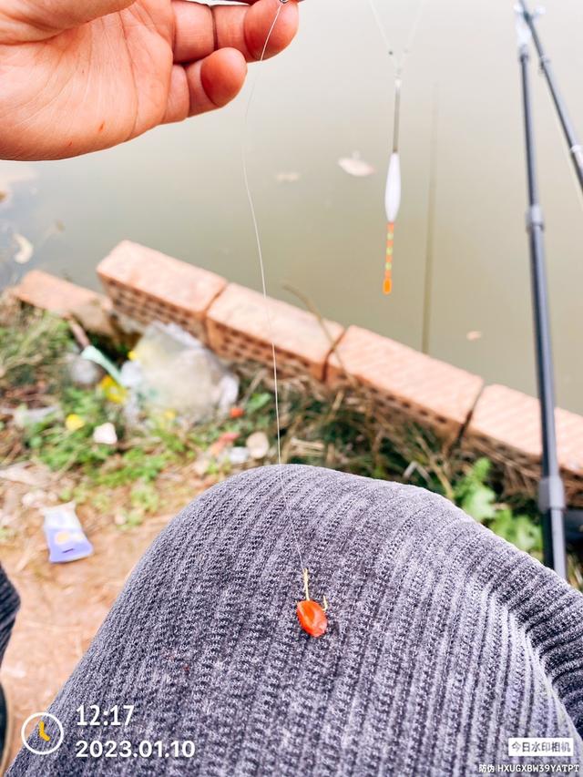 |2023·01·10·专注单竿又该得瑟一下了!