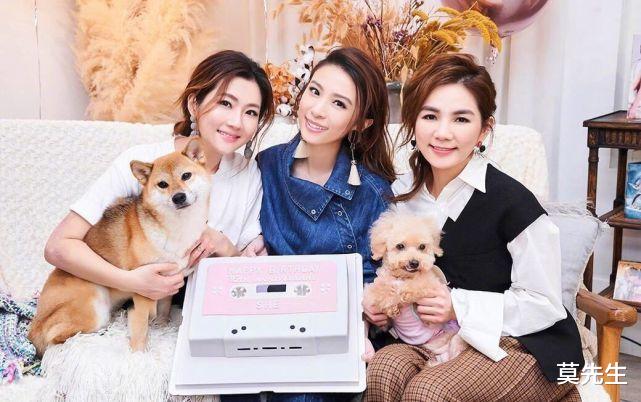 Selina|8大国内至今未解散的明星组合，最长的已有48年，最短的17年