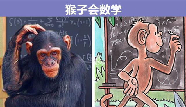 海豚也有自己的名字?细数:与动物有关的9个奇妙的冷知识