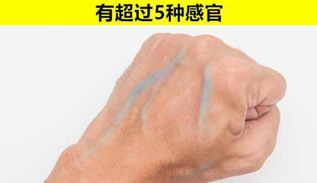 人类和香蕉DNA相似50%?关于人体的9个你或许从不知晓的冷知识