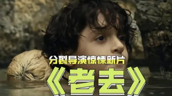 《老去》人类最害怕的不是死亡，而是在老去中面临死亡！