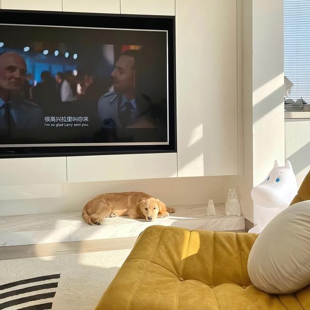 年轻人开始流行“糊弄式做家务”，只有尝试过，才知道多方便