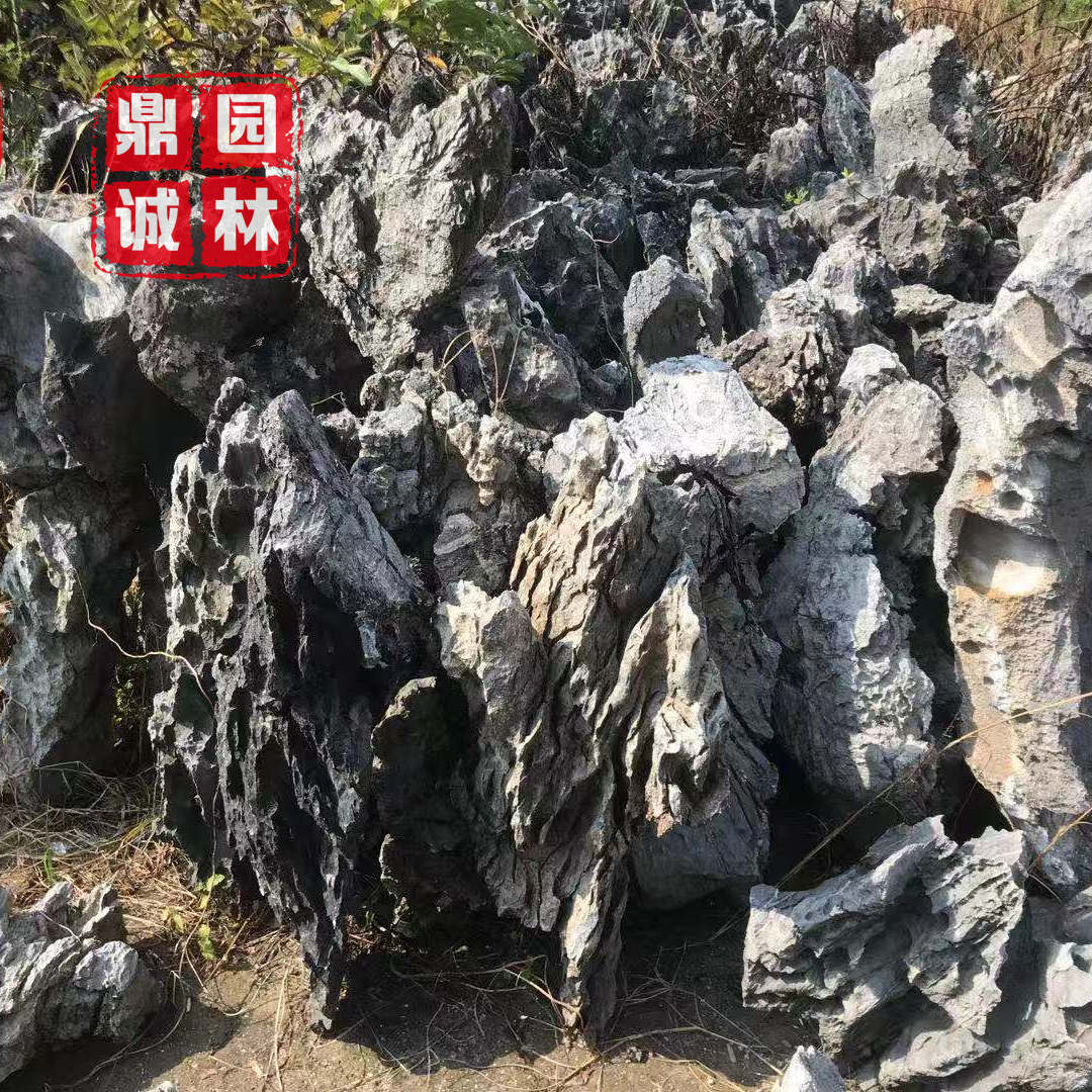 英石峰石假山盆景设计 庭院鱼池水族造景石