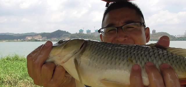 广东省|哪个省份钓友最幸福?他们闷声钓大鱼真的爽爆了