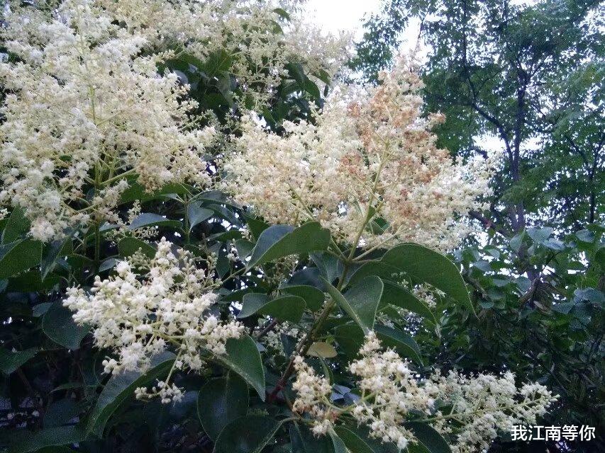 |离婚女老板要包养我，说每个月给我10万元