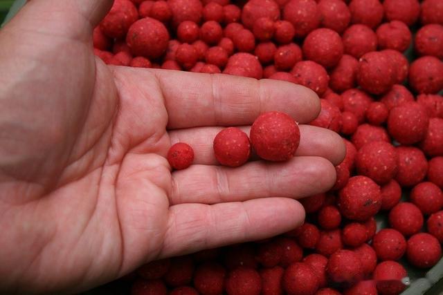 许多|世界各国钓手齐聚欧洲比钓鱼，各种钓大鱼策略全解析！