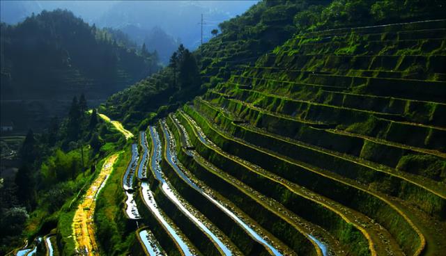 龙兴寺|江西这一景区,有六大景区,四十余景点,还能欣赏原始森林!