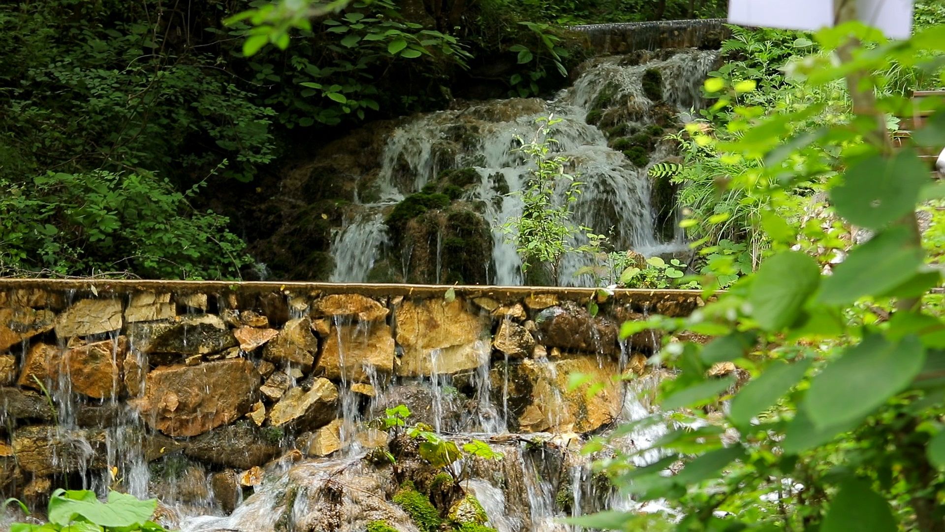 河南|河南洛阳这个避暑景点，夏天气温仅25度，盛夏旅游好去处还免费