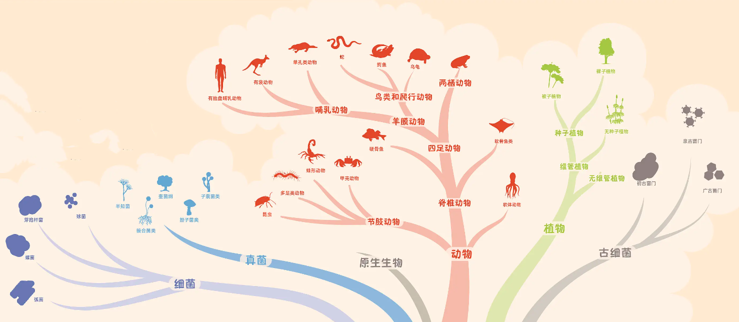 为什么人类无法找到外星人?科学界给出三种解释,似揭开了谜底