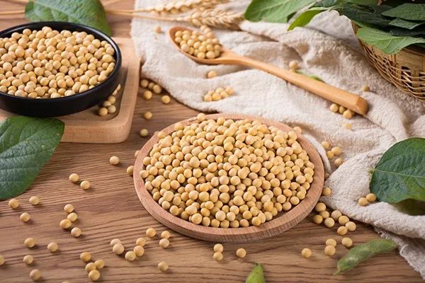 心脏|6种健康食物 让你远离心脑血管疾病