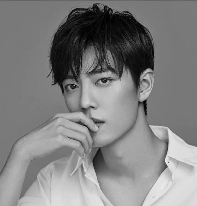 肖战|肖战《王牌部队》扭转捷成捉襟见肘的财务状况，果真良禽择木而栖