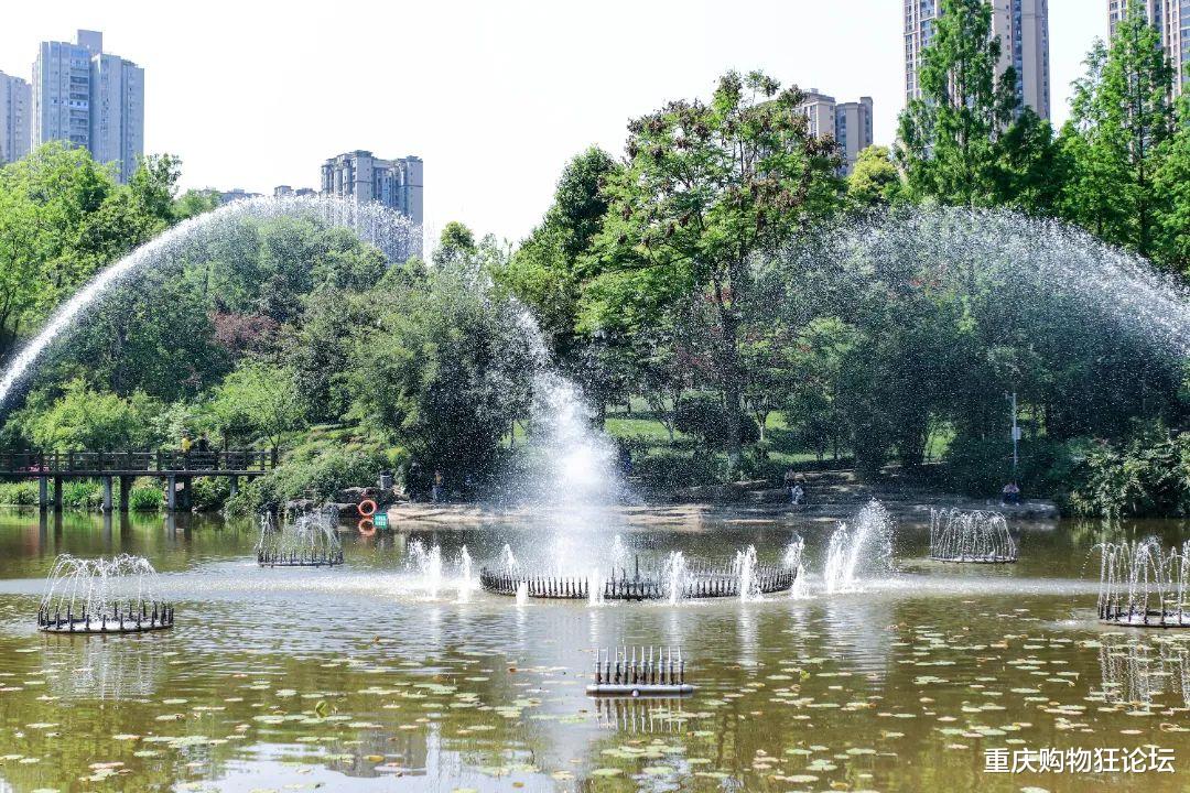 |公交直达，湿地、草坪、运动场！这个宝藏公园怎么还不出圈？