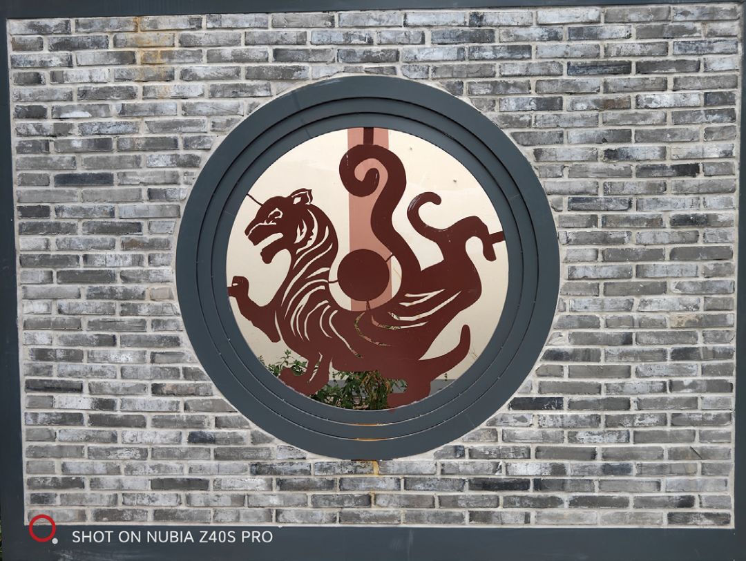 努比亚|定制影像新升级——直屏旗舰努比亚Z40S Pro评测