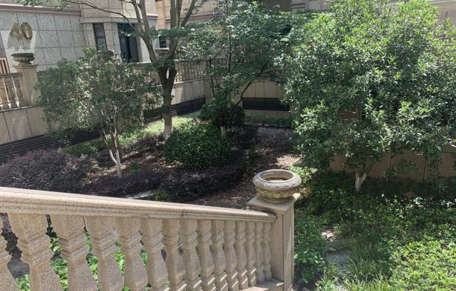 别墅|有钱任性?数十栋“东湖别墅”空置近10年,无人入住!