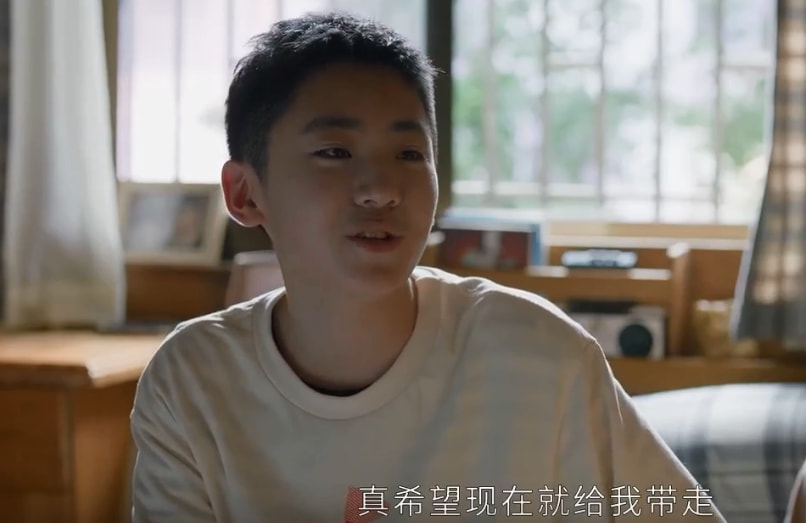 崔浩|相逢时节：对灰灰甩脸，骂宁宥是叛徒，宁惠并非明事理的长辈