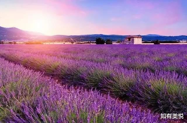 胡杨林|人少不挤,当季最美,这9个小众旅行地,这个夏天一起去探秘吧