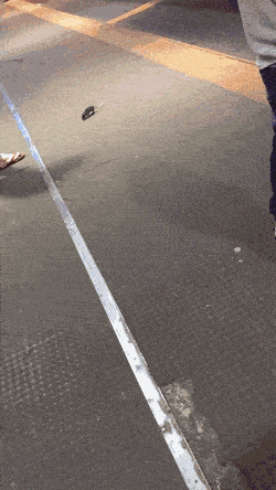 谢霆锋|张柏芝疑与三胎生父带孩子们逛街,Lucas与继父关系亲密胜过谢霆锋