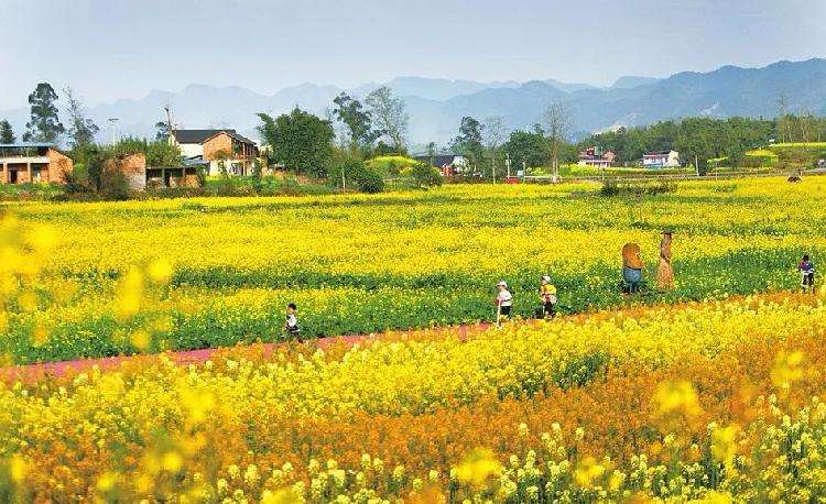 杭州|休闲农业与乡村旅游发展现状分析