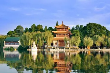 格桑花|昆明，一个四季如春，悠然自得的理想之地