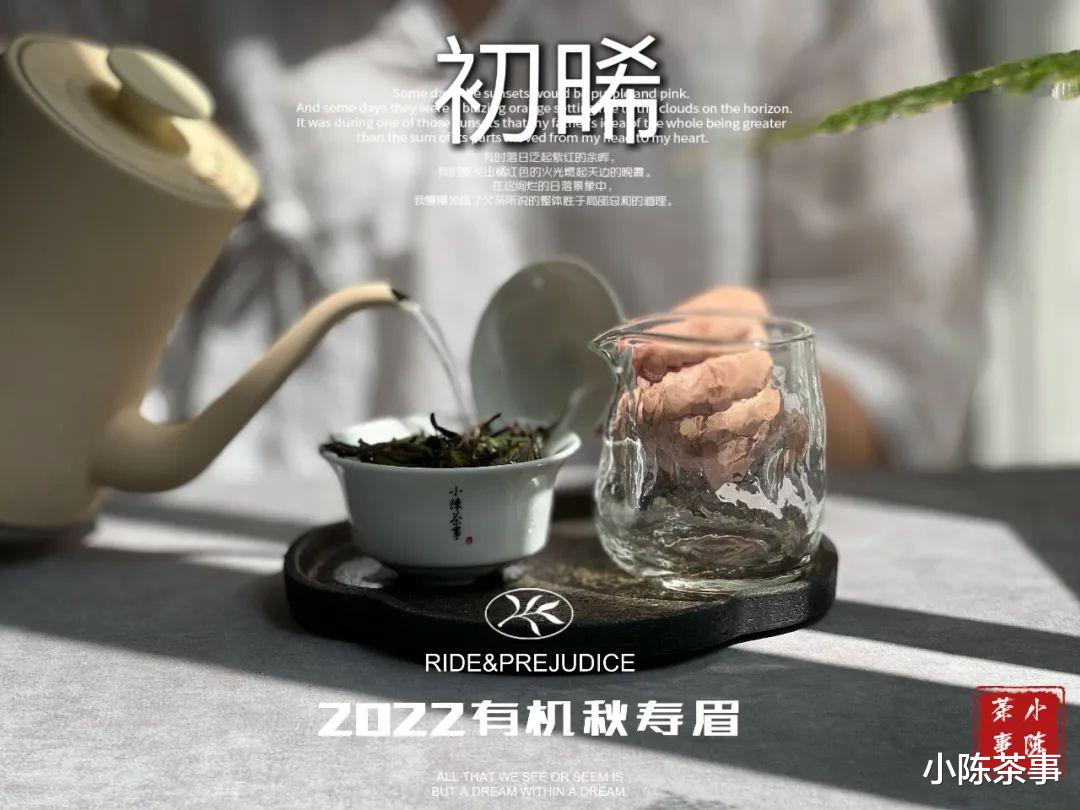 适合新手喝的入门白茶，2个优点堪称为新手量身定制，别错过了