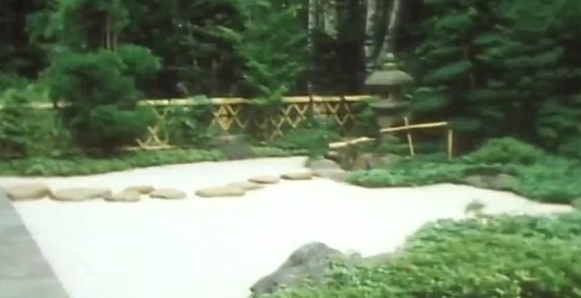 爱子的居所长啥样,20岁前的低调温馨,如今的装修花了8.7亿日元