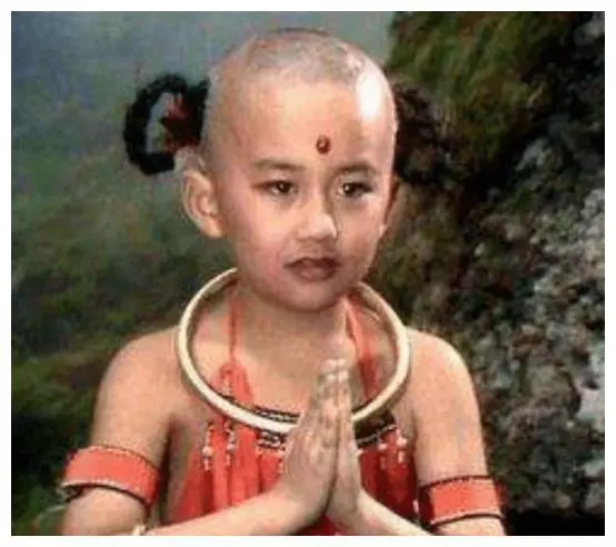 赵欣培|他是86版“红孩儿”,染上网瘾退出娱乐圈,如今却成中科院博士