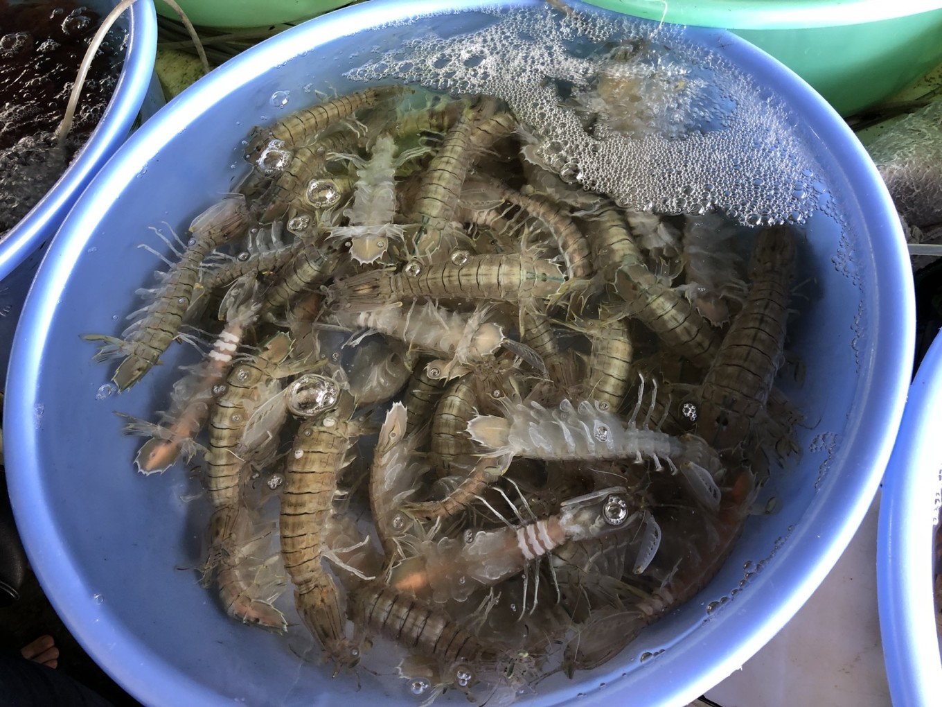 北海|在北海有美食，美景还有爱情