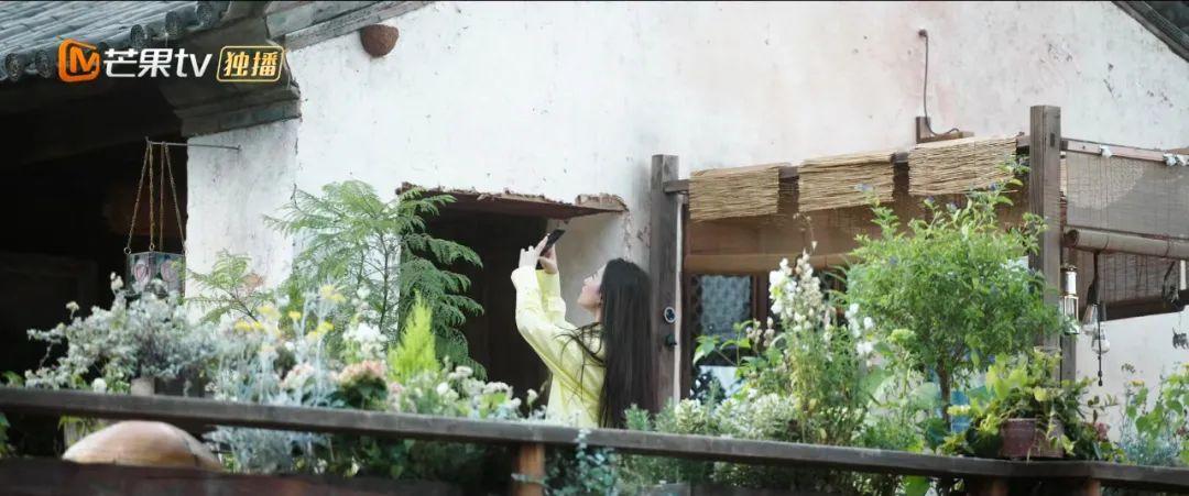 央视|《去有风的地方》感受草木温柔了时光治愈力!