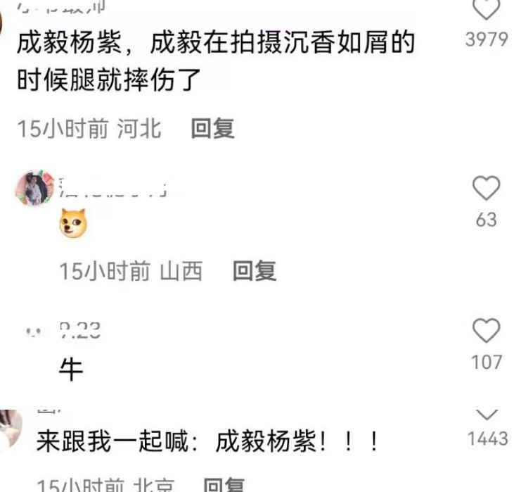 杨紫|刘大锤爆千万粉丝男演员恋情,女方是顶流小花,杨紫成毅被猜测