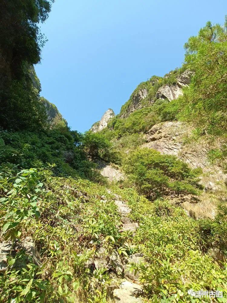 雁荡山|超详细攻略！雁荡山这条风光雄奇的栈道，值得你走一次！