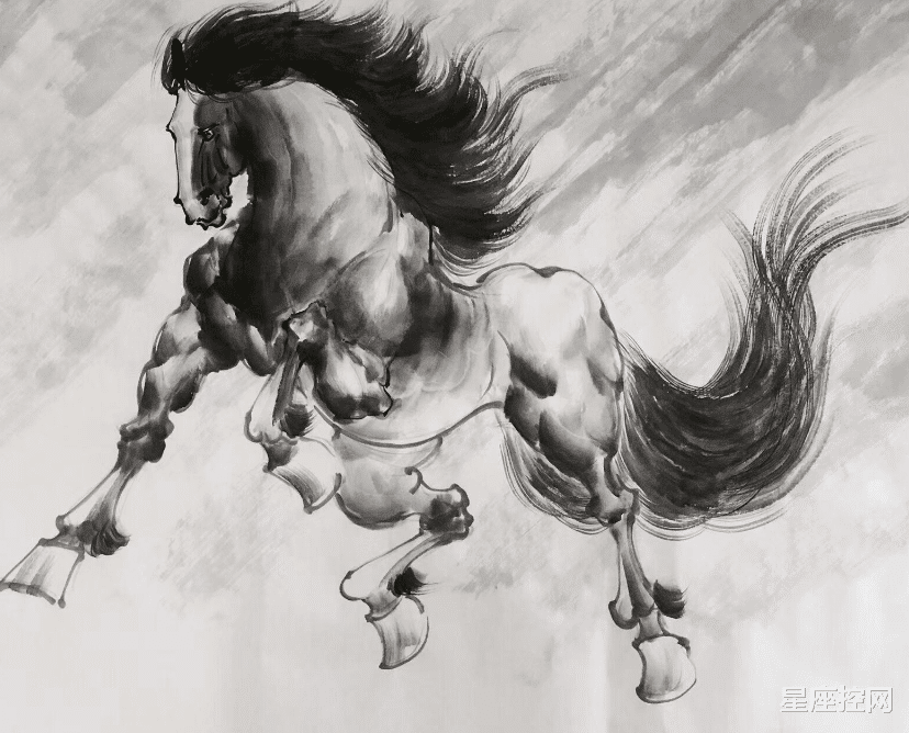 生肖|哪几个生肖的人，前途靠自己争取，今年有望转运，事业蒸蒸日上