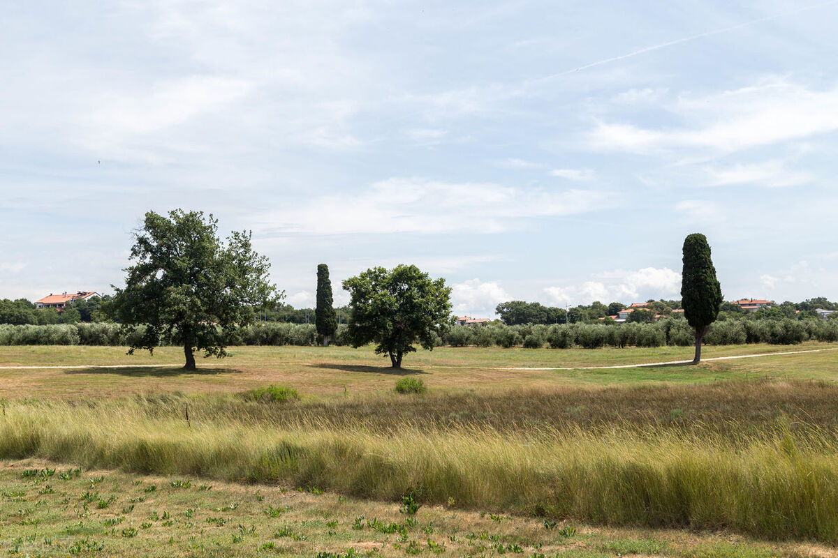 衬衫|职场中，酒后千万不能乱说话，避免出现严重的问题