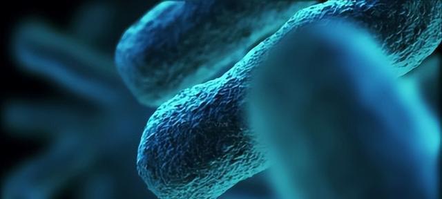 北极冻土层又发现远古活体生物,至少2.4万年,意味着什么?