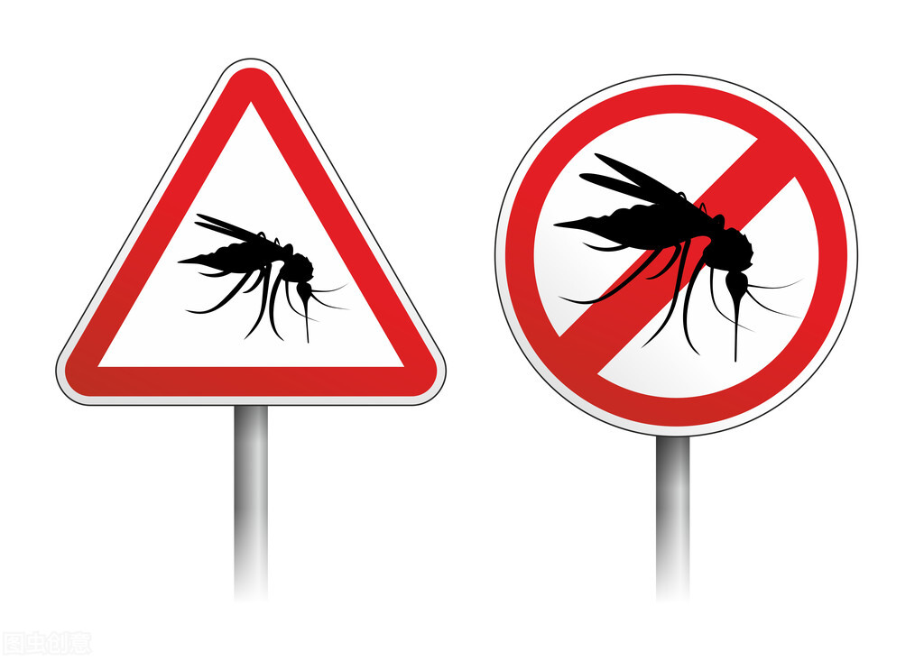 外来物种“花蚊子”四处泛滥，无人能解决，它们是如何来中国的？