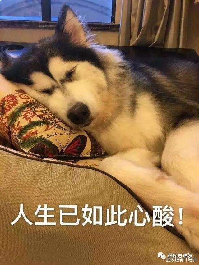 招聘|月薪三四千的武汉打工人,如何实现月入过万,成为令人羡慕的中产