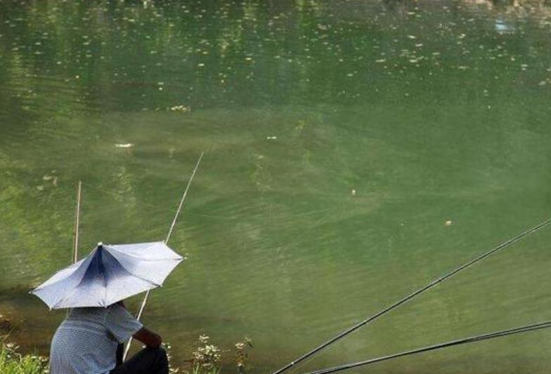 商朝|老汉垂钓时意外钓起“乌龟”，背上插着“四箭”，专家：它值18亿