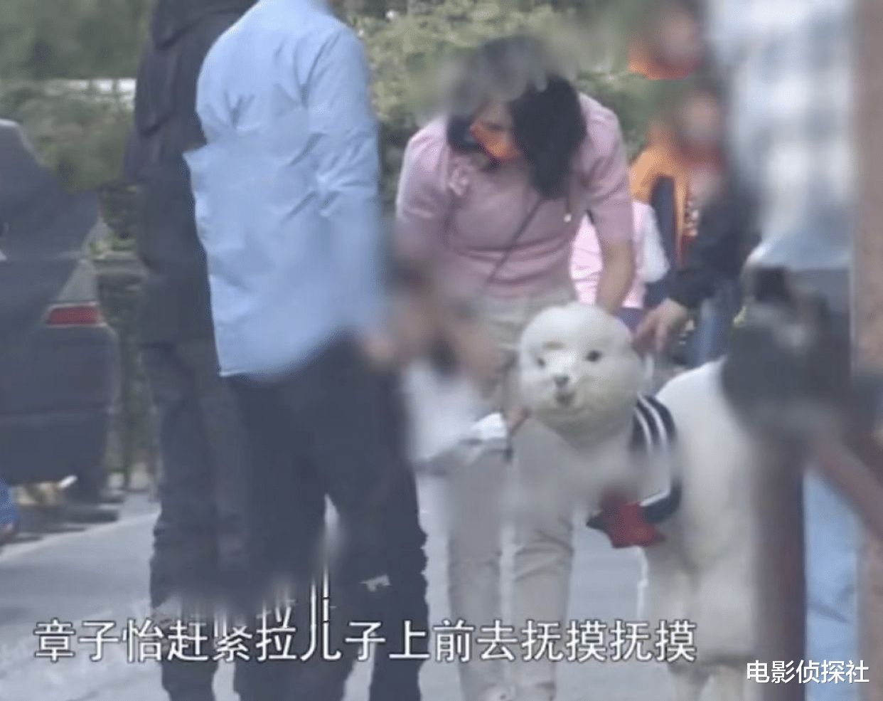 章子怡|章子怡和汪峰带娃出游，父子俩互动很有爱，章子怡拿手机拍个不停