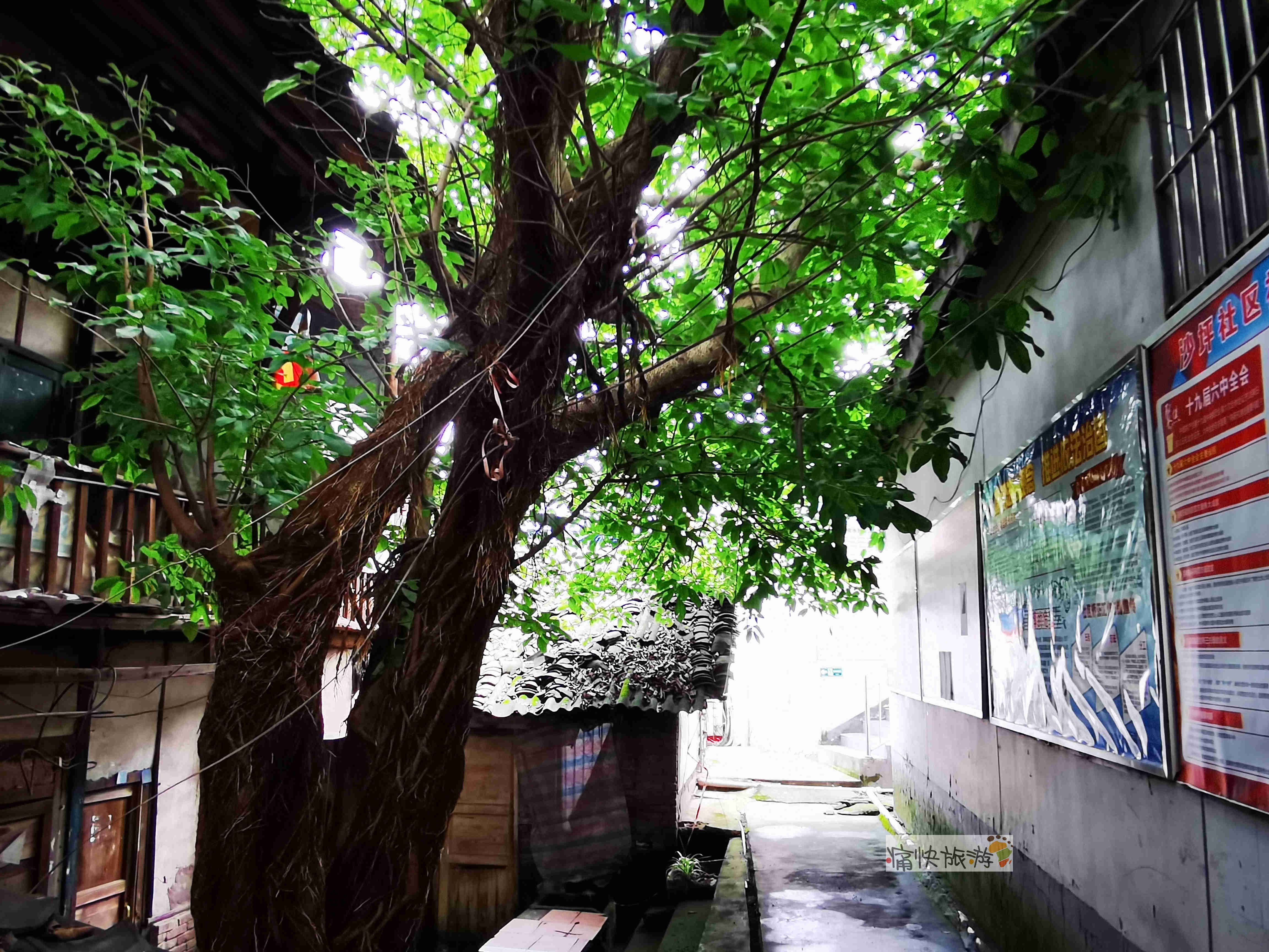陕西|行走自贡：遗忘在井富古道旁的沙坪后街
