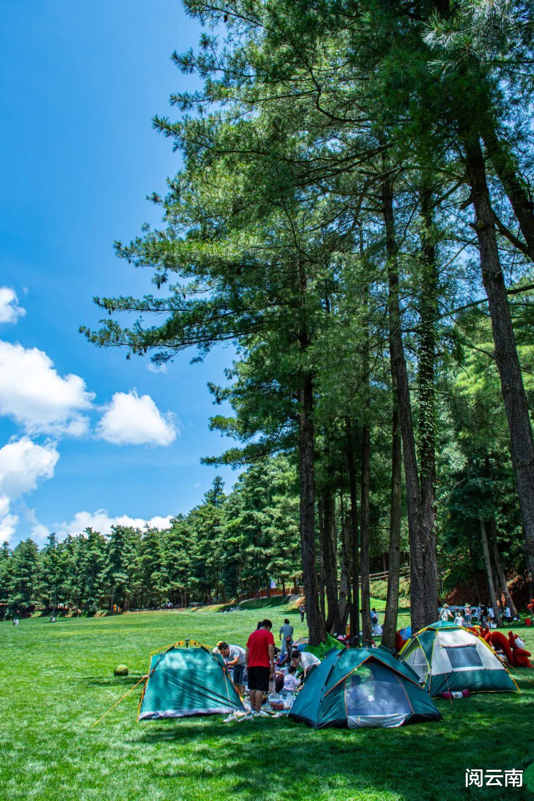 携程|昆明周边露营地盘点:森林草甸、高山牧场、热浪沙滩,不愁没去处