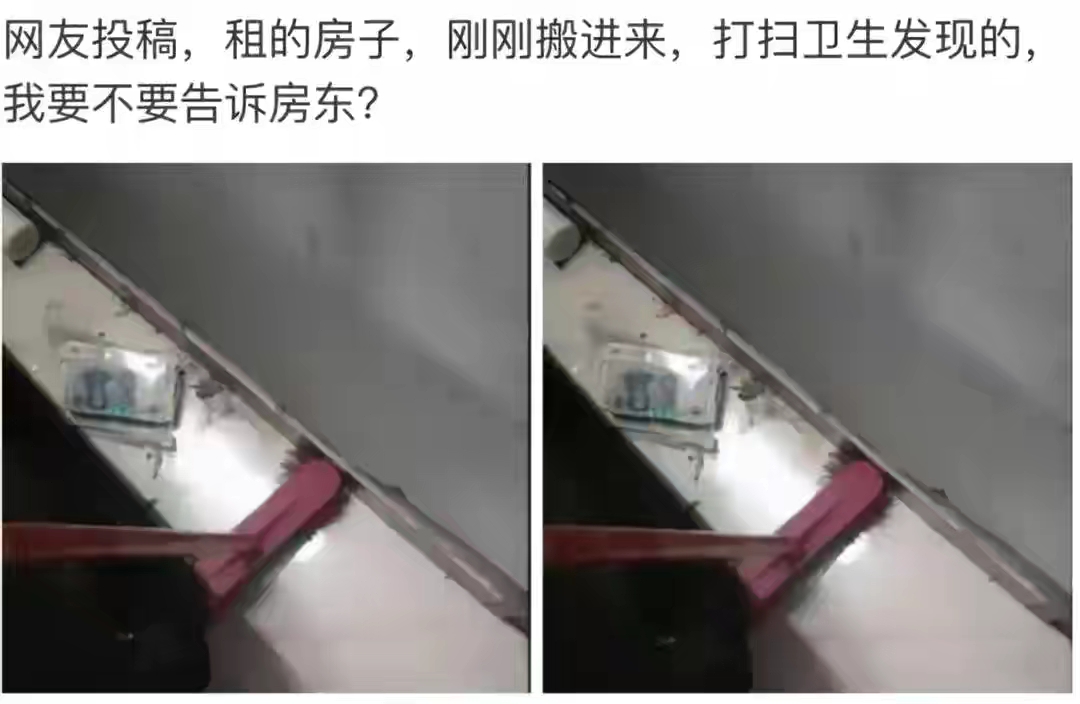 |刚租的房子，打扫卫生时发现了这个东西，我要不要告诉房东？