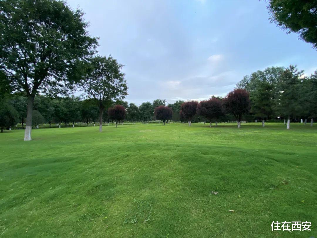 保利|大明宫板块多盘实探!龙湖、金茂、璞悦府等项目进展如何?