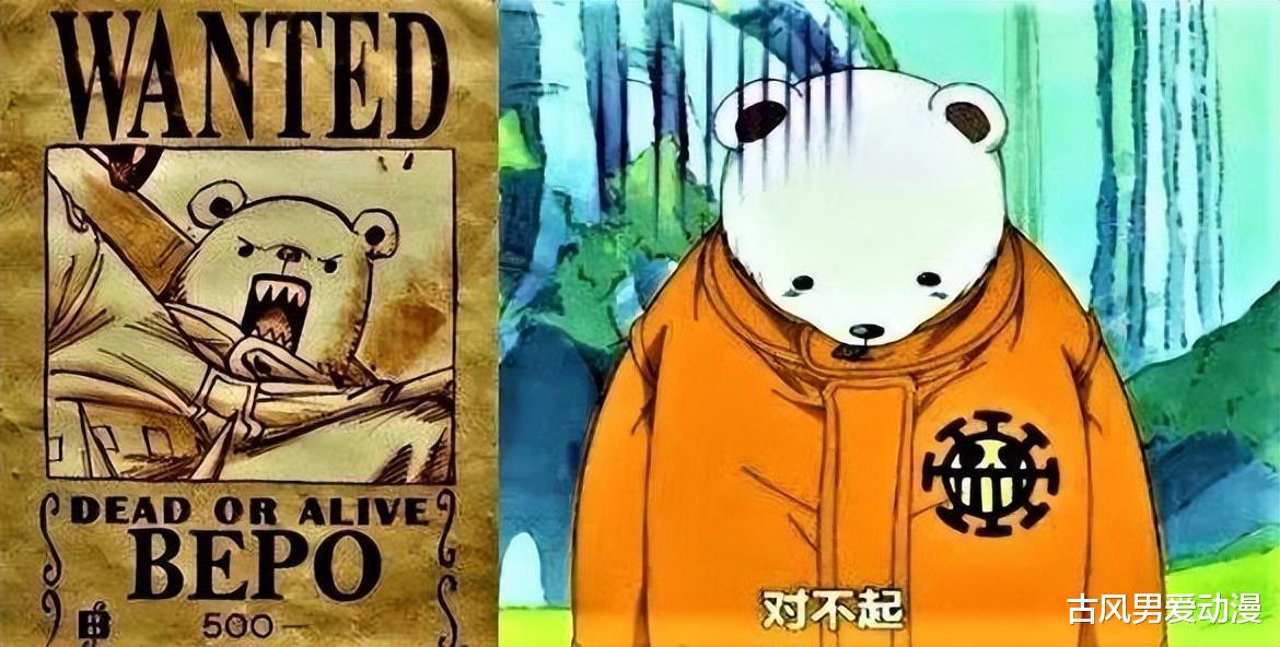 海贼王|海贼王中四张特殊悬赏令，两个性价比极高，最后一个是谜