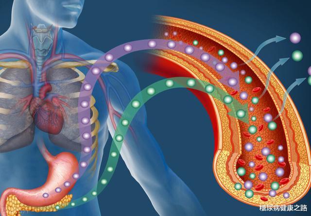 2型糖尿病|为什么2型糖尿病人越来越多?美国专家:可能与胰岛素进化有关
