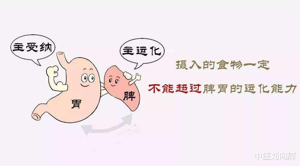 山药|脂肪肝，需要肝脾同调，一个中成药，健脾化湿，清肝祛脂 建议收藏