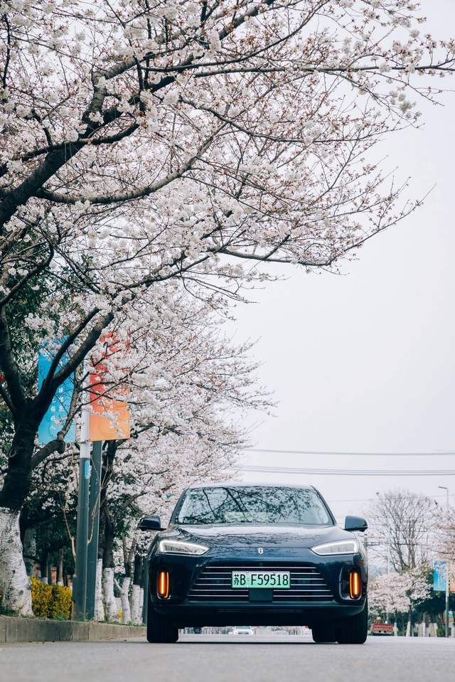 自驾|阳春三月最美樱花季，自驾问界M5出游看这里