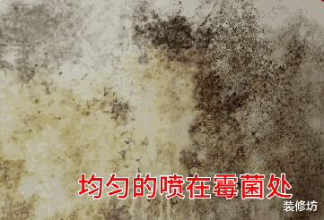 实体店里“尴尬”的5个用品,明明很实用,大家却都在网上买