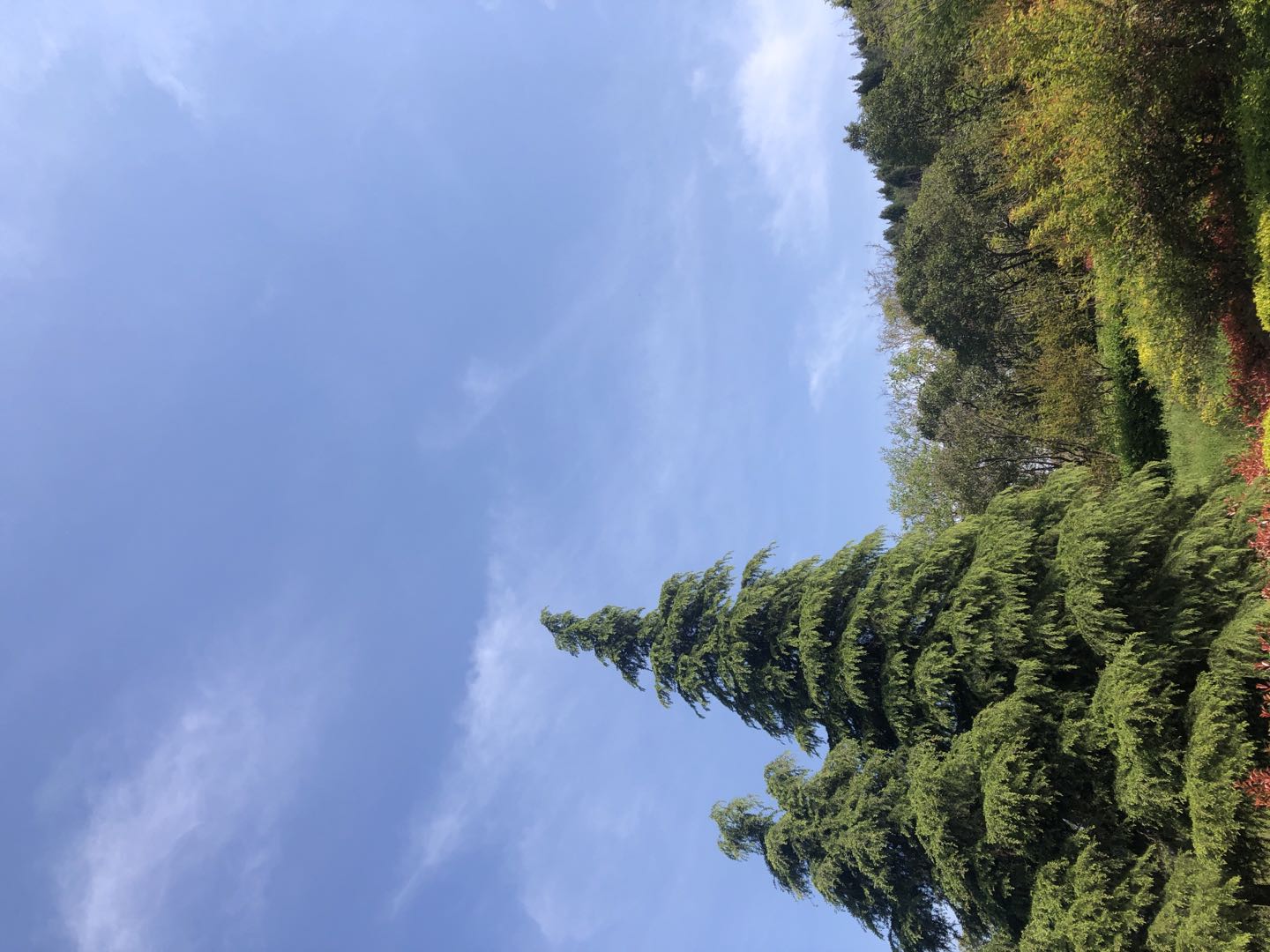 教师|企业员工招聘存在的问题及解决方案