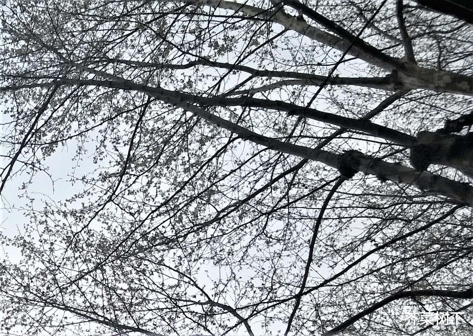 |职场的emo，哪里来？