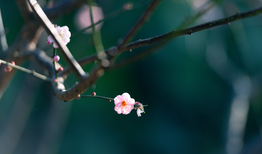 抑郁症|抑郁4年,自残、休学、偷偷服药,我是如何活下来的